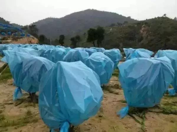 瀵掓皵渚佃韬綋,瀵掓皵鍏ヤ镜浼氬鍔犺韩浣撴箍姘斿悧