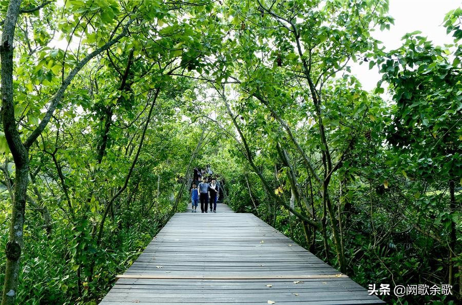 珠海旅游攻略四日游最佳路线推荐,珠海旅游攻略夏日游玩地点