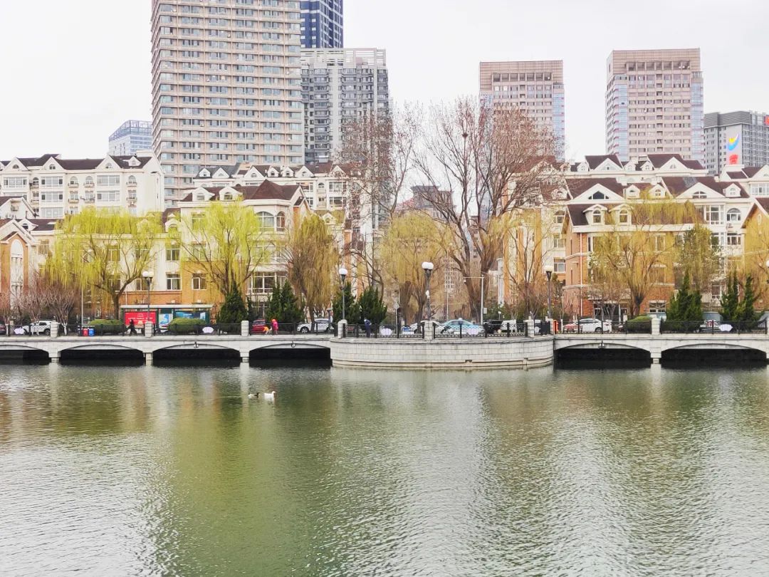 大连儿童公园,绿波荡漾的明泽湖,少了几分喧嚣,多了几分宁静