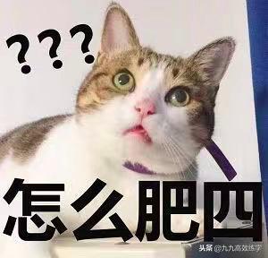 练字有绝招,练字必练的100个技巧