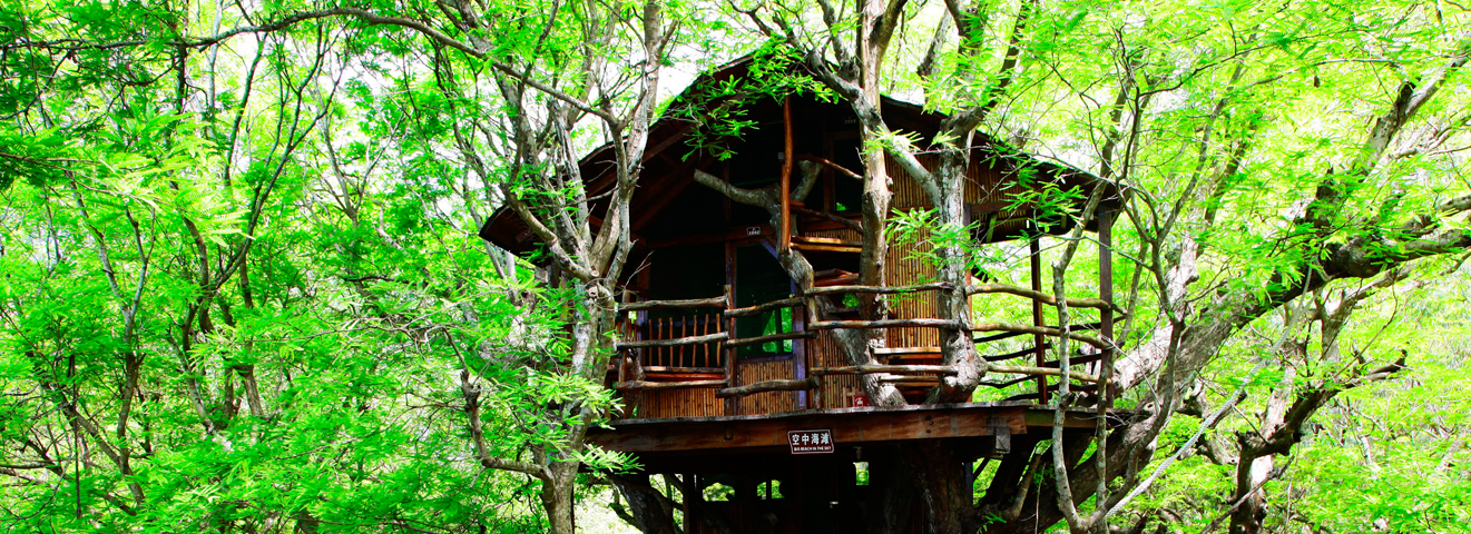 海南三亚南山108米海上观音,三亚海上观音镇海之宝