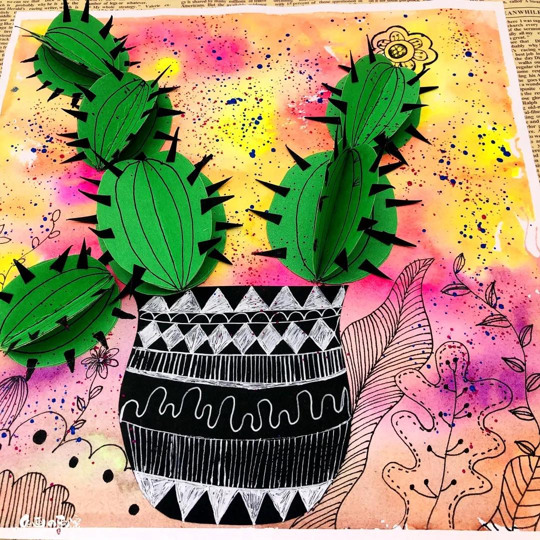 小刺猬植物名称是什么,跟刺猬一样的植物