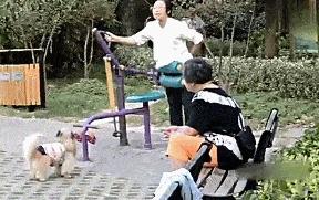 你根本想象不到减肥,你根本想象不到民间健身有多狂野