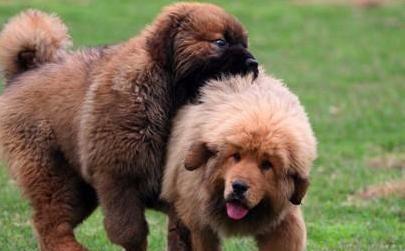 为啥说异性相吸,为什么说异性相吸