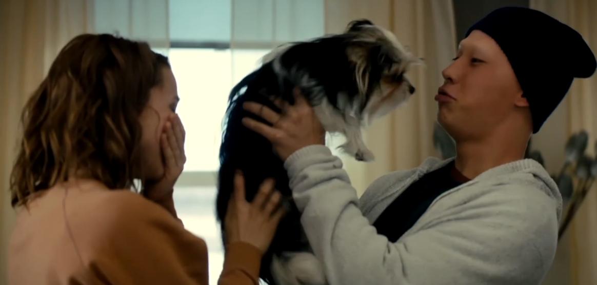 哈士奇雪橇犬故事,哈士奇雪橇犬感人一幕