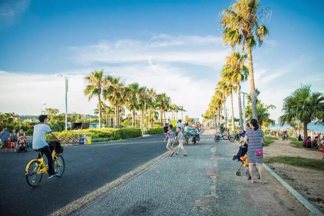 厦门旅游最强最新攻略,厦门旅游十大必去景点吃的攻略