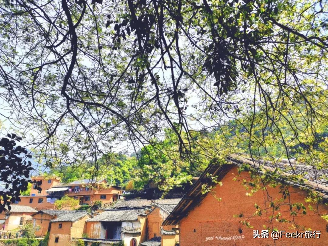 松阳又出一家避世仙居,改自老建筑仅设22间房,值得小住几日