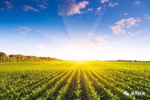 王阳明心学最透彻解读,王阳明心学自我修炼心法