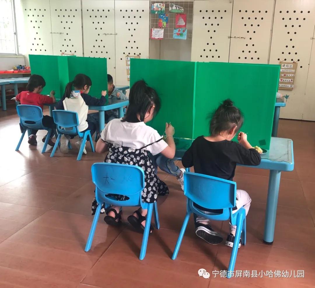 宁德小哈佛幼儿园,宁德蕉城区小哈佛幼儿园