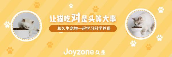 铲屎官必备猫咪护理知识,铲屎官平时要经常帮猫咪擦拭眼部