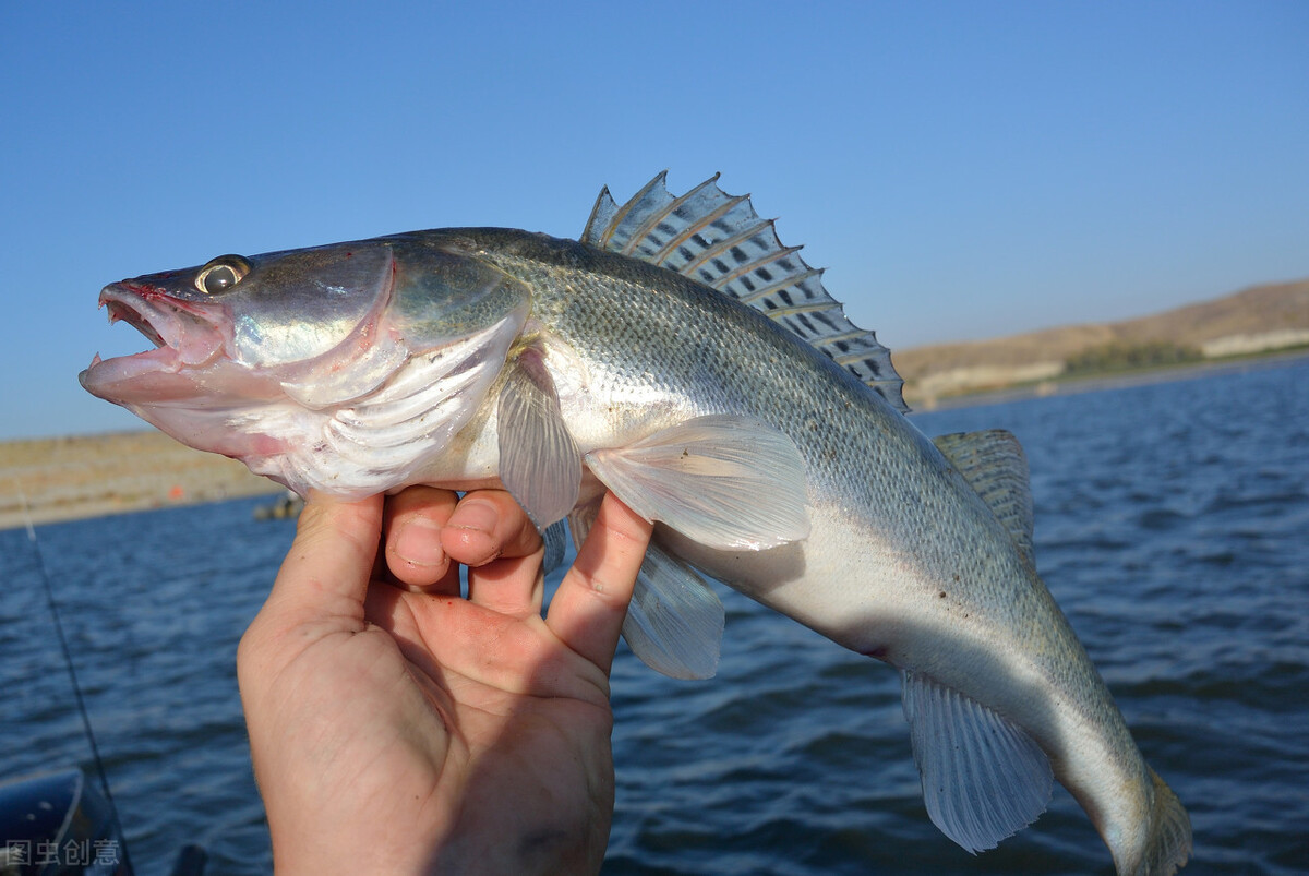 派大星怎么打章鱼,派大星的进击视频