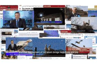 18年感人的爱情故事视频,18年的爱情故事