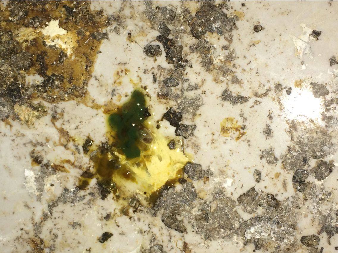 养鸡常识鸡粪是黄色的是什么病,观察鸡粪怎么判断鸡病