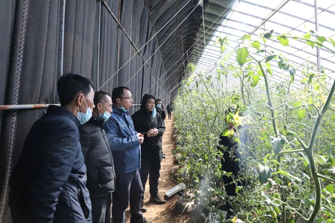 锦州市促进就业创业政策,返乡入乡创业创新政策宣传周