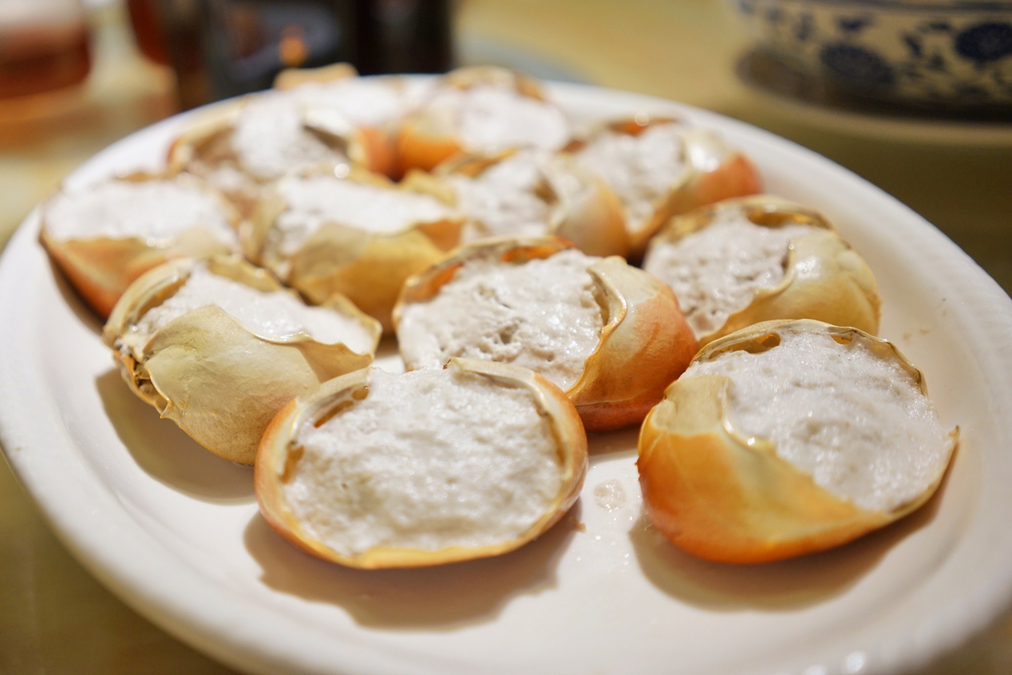 一定是特别的缘分——帕劳,再遇见「周若雪Patty」·上