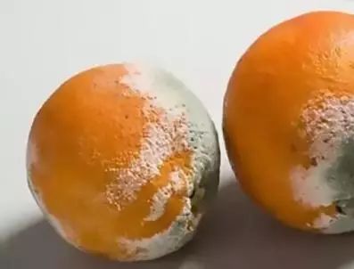 天天用的菜板，竟然有35万霉菌