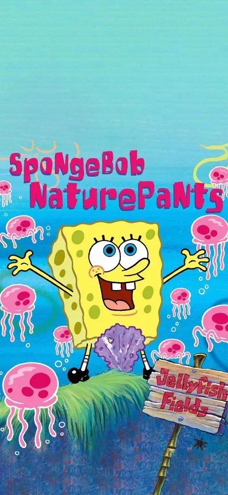 海绵宝宝壁纸全面屏全角色,关于海绵宝宝的壁纸高清