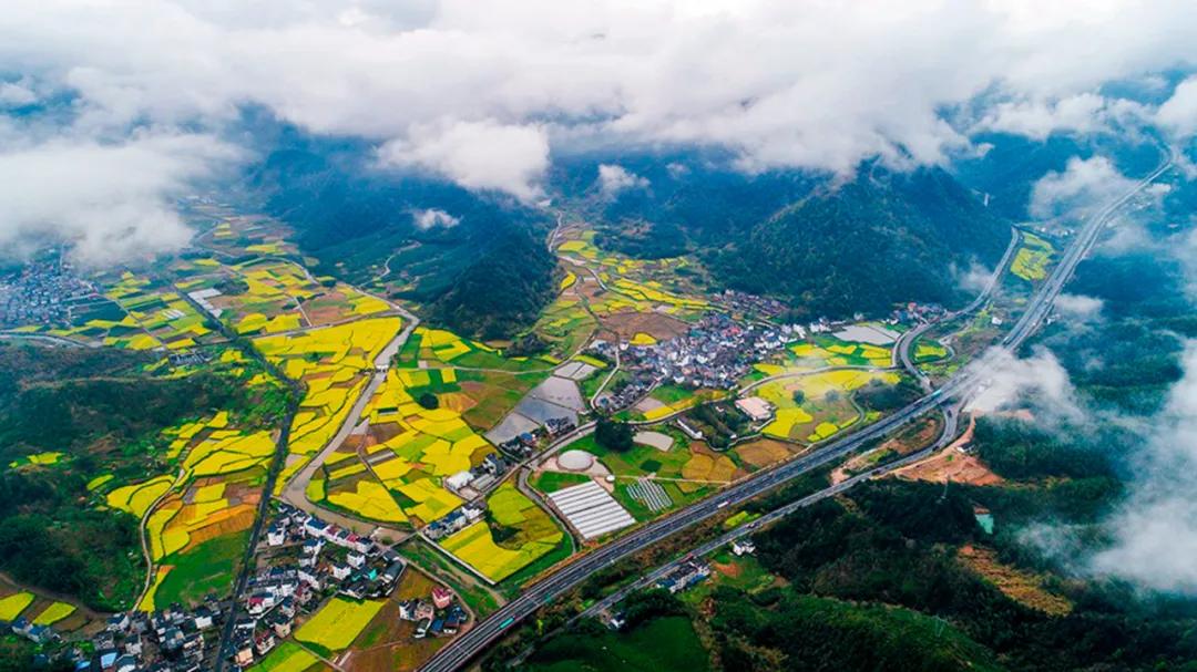 走向我们的小康生活微电影,走向我们的小康生活中国画