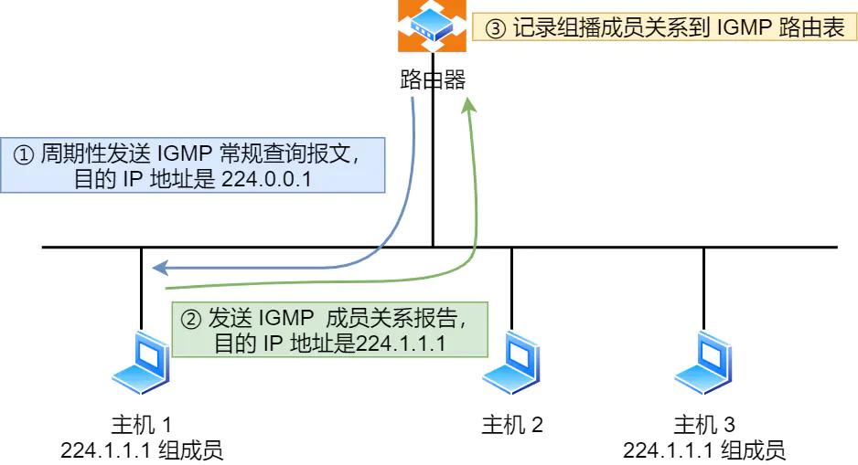 ip的基础知识大全,ip基础知识快速入门第四讲