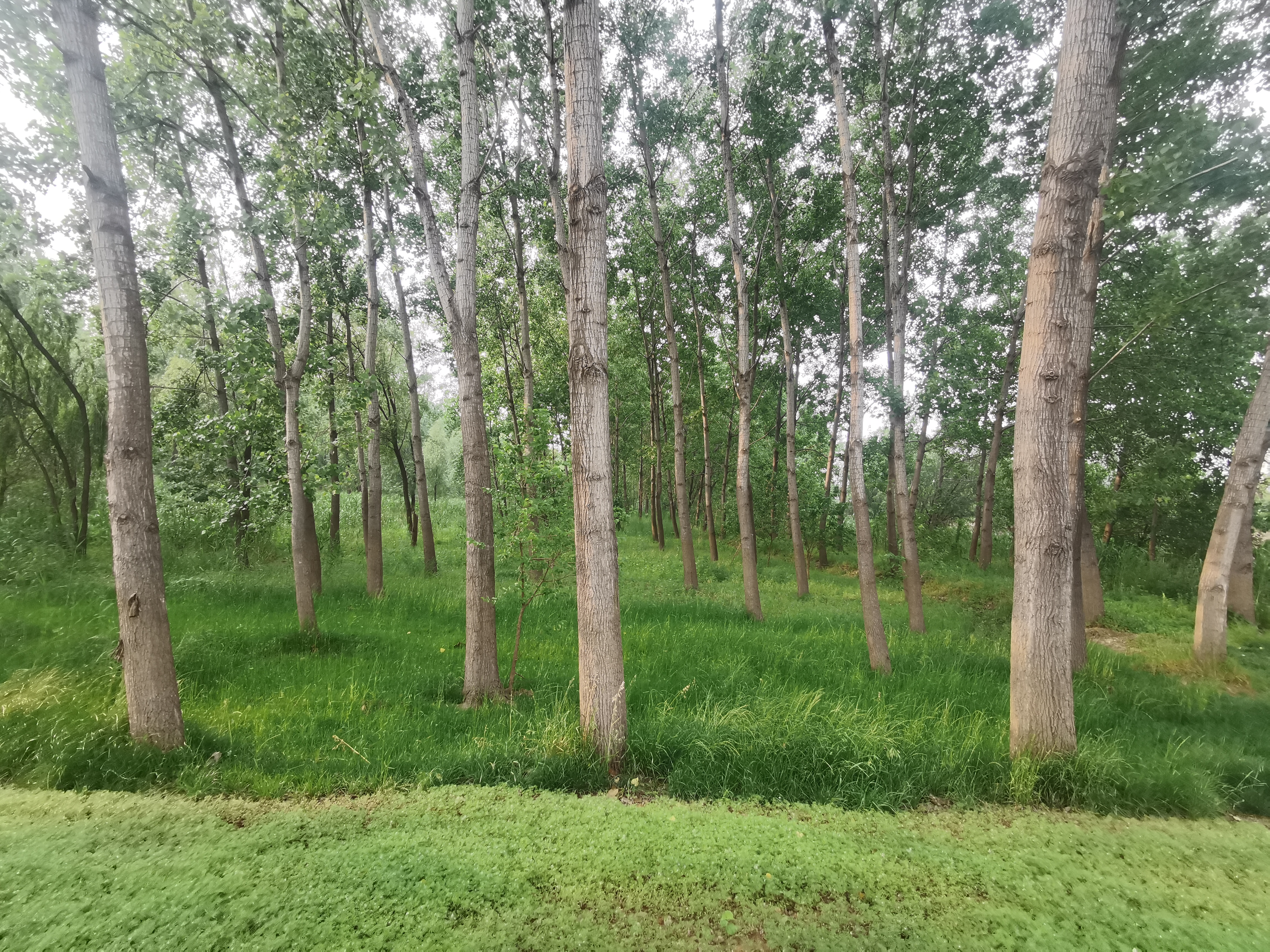 马鞍山风景名胜区,生态画卷美不胜收