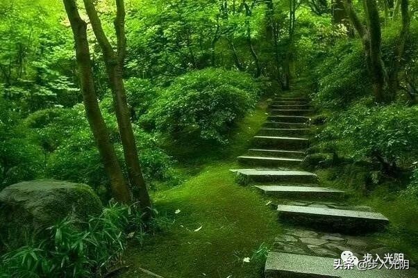 我外爷的智慧（文：颜敏）