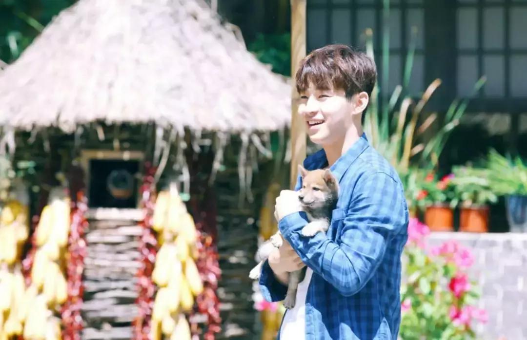 刘宪华退出向往的生活原因,刘宪华为什么退出向往的生活