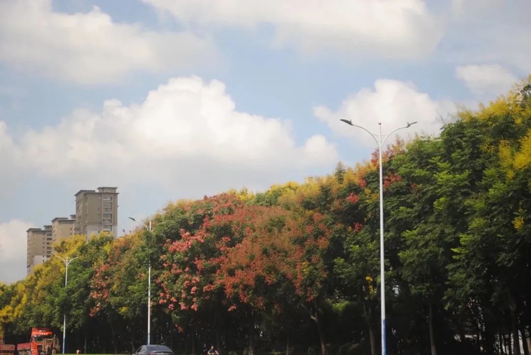 草木人间和燃冬,草木和人间