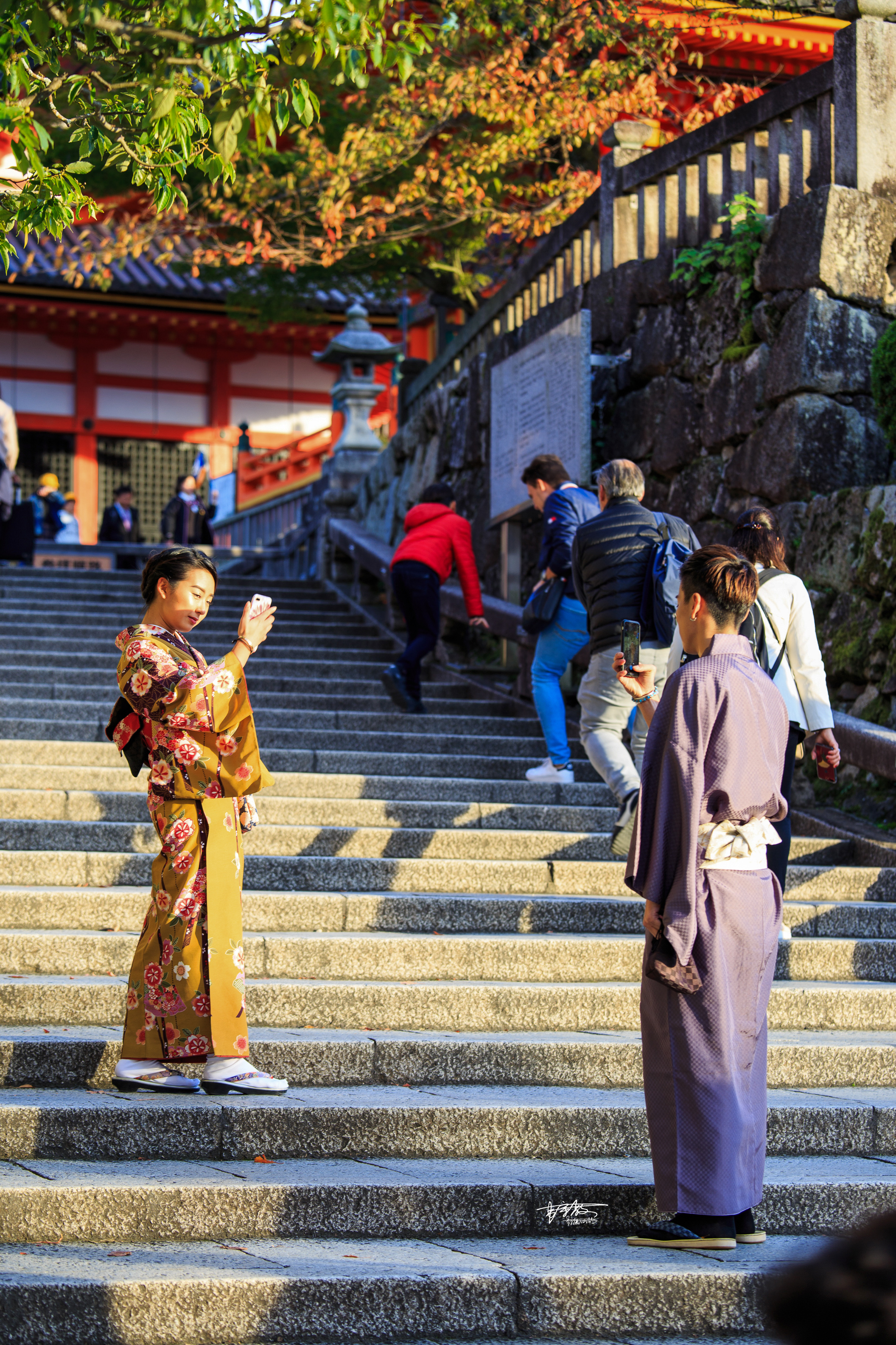 八坂神社和清水寺有何不同,伏见稻田清水寺八坂神社