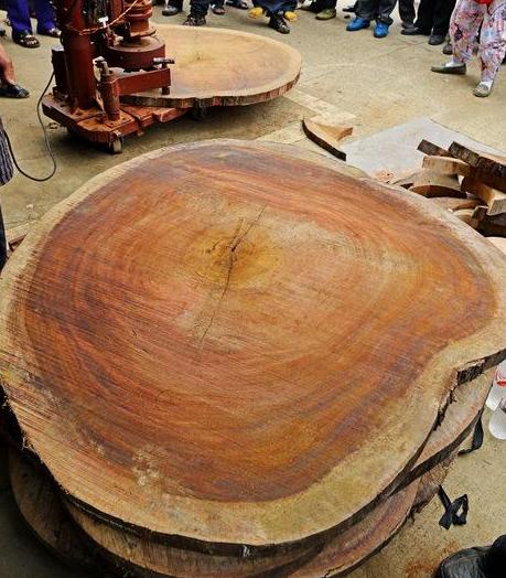 常见的有硬度有韧性的木头做木刀,有哪些木头适合做砧板