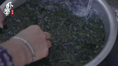 山上哪种树叶能做豆腐吃,山豆腐用什么树叶做的