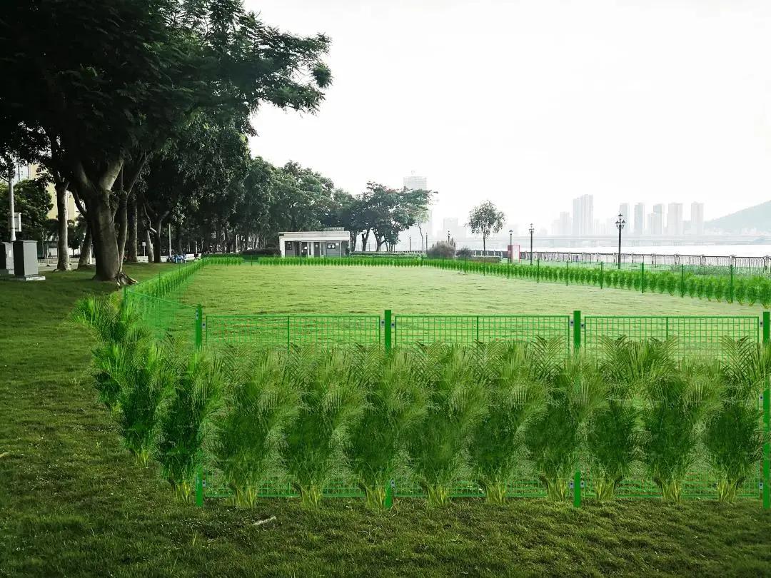 还记得那只C位出道的珠海狗狗么？