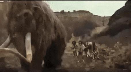 已灭绝四万年的猛犸象，人类祖先曾和猛犸象生死决斗