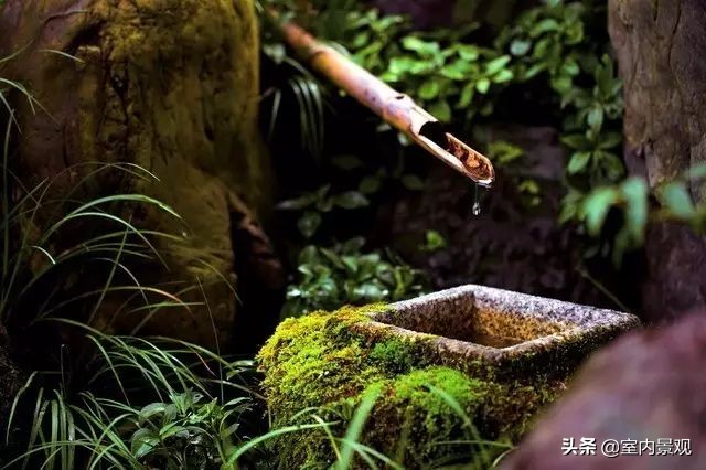 小小庭院美到极致,富有禅意的中国式庭院