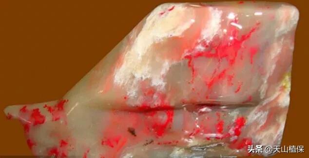 怎么捡到价值极高的石头,捡到一块石头价值千万