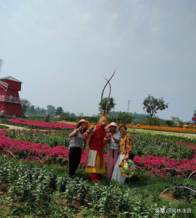 宜昌枝江同心花海步步升景点,枝江同心花海附近好玩的地方