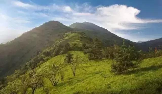 陕西省哪些市发展好,陕西各个县发展排名