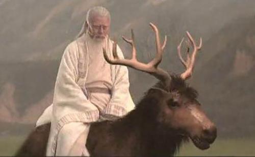 头像马和羊,头像马非马一样的动物