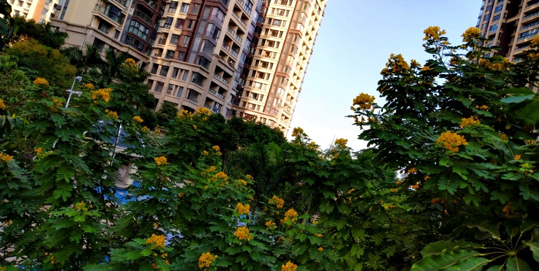 传说中的金沙,金沙世纪城最好小区