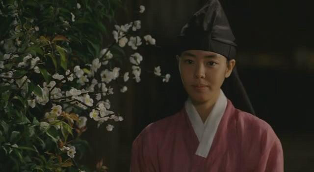 美人图讲的什么,美人图主要讲了什么