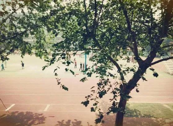 闈掓槬璁板繂涓殑鏍″洯,闈掓槬璁板繂閲岀殑鏍″洯