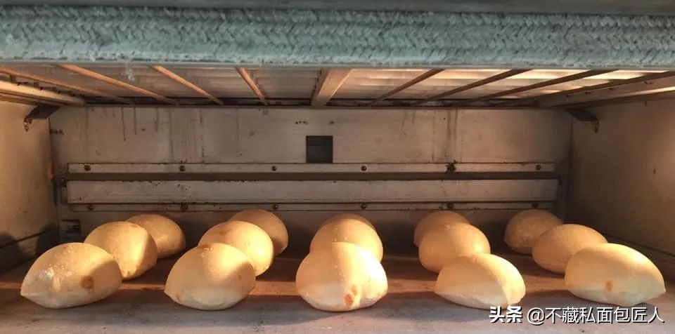 面包里的微小生命，酵母菌和它的朋友们