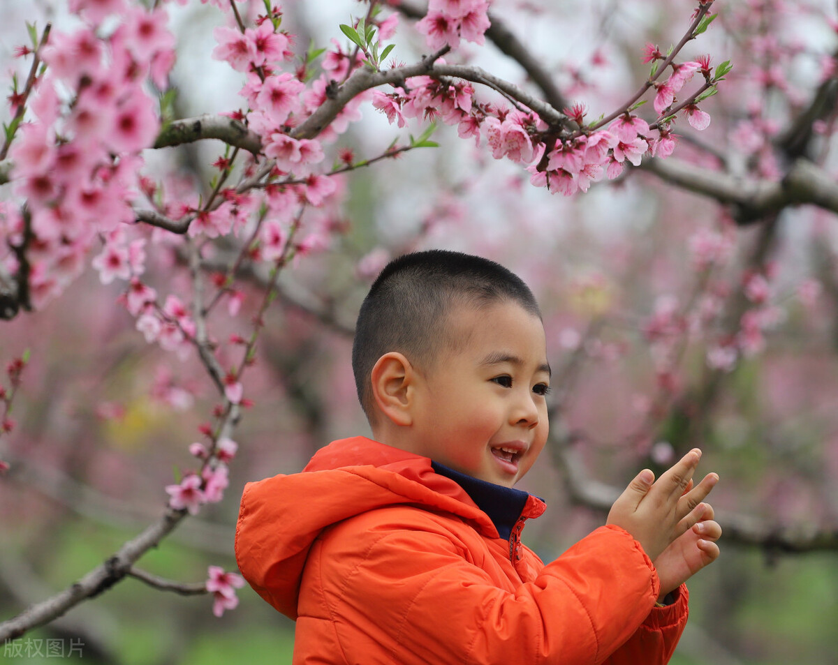 2021年牛宝宝取啥小名好听,2021年牛宝宝男孩小名大全