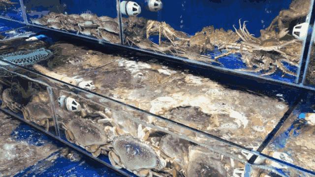 深圳批发年货零食市场,今年深圳的年货市场在哪里