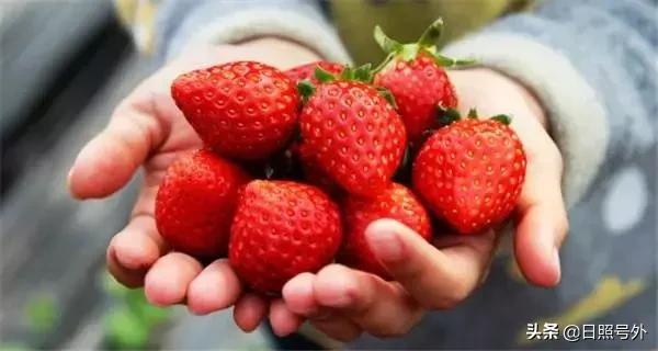 好嗨哟2019年元宵晚会,好嗨哟元宵晚会