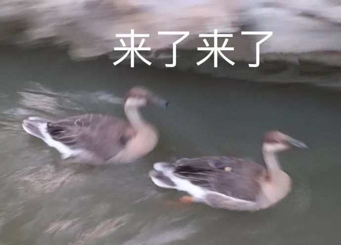 在实体店买的衣服比网店贵咋办,怎么在网上买到与实体店同款衣服