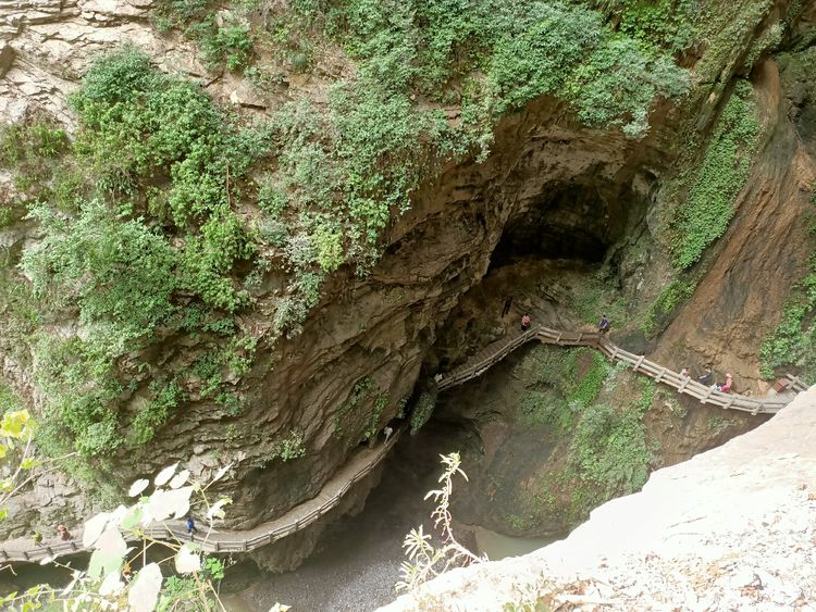 大美武隆仙女山,畅游重庆武隆区仙女山