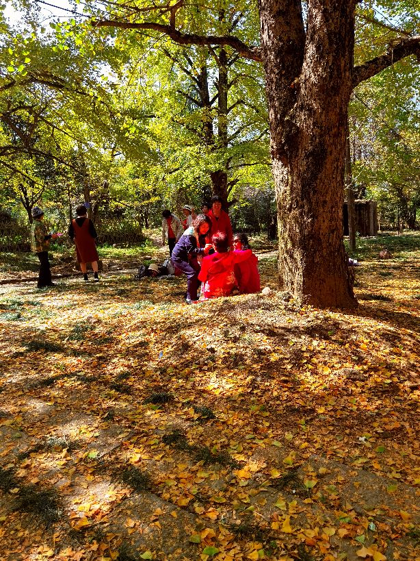 秋天的回忆完整版,秋天的回忆歌曲