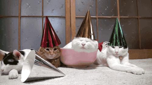 每天坚持高抬腿120次瘦全身,每天抬腿5分钟有效果吗