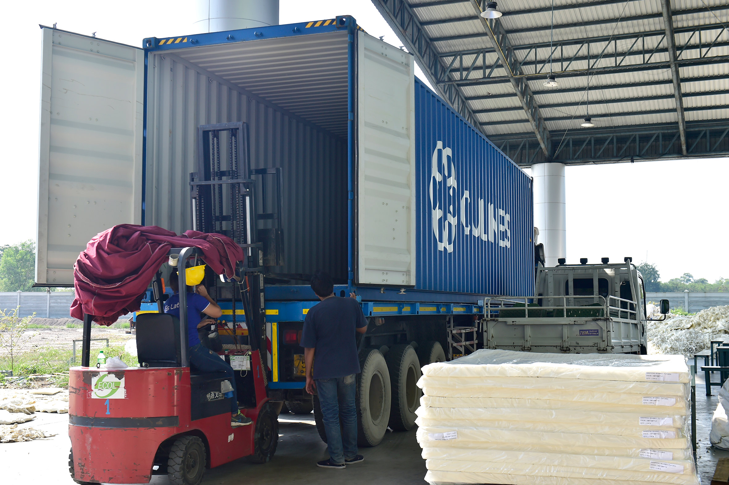 泰国乳胶枕官方旗舰店 (泰国乳胶枕三大品牌与价格)