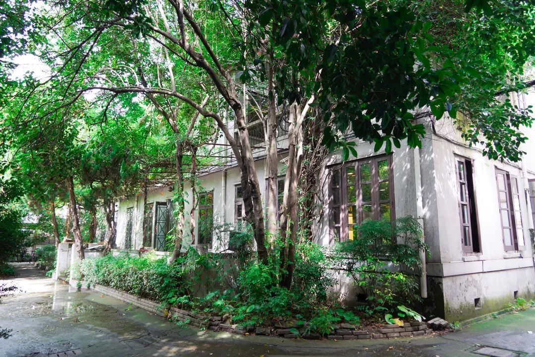 趣办空间|临窗观草木,*情纵**山水间:趣办@长乐路